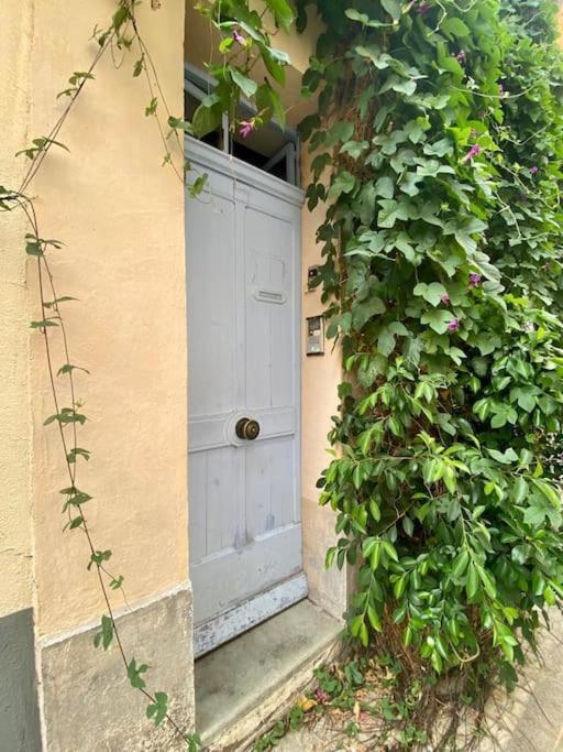 Click! Casa Lamartine Fabulous Ideal Location Walk To All!!! Каси Екстериор снимка
